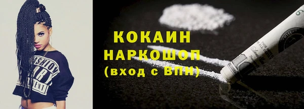 стаф Алзамай