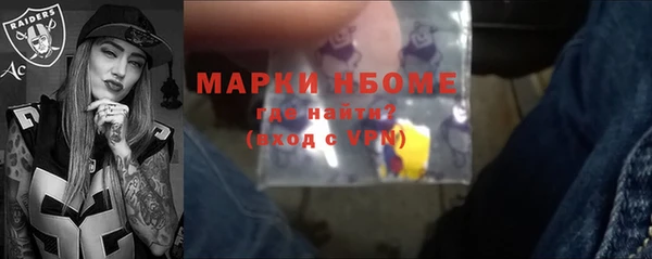 стаф Алзамай