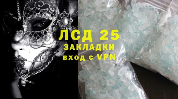 стаф Алзамай