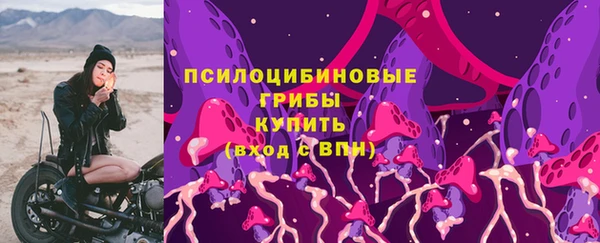 стаф Алзамай